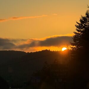 Meet your Posher, Adrienne